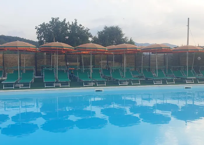 Il Grande Orso Ateleta